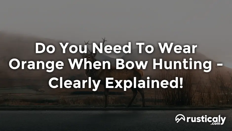 Do You Need To Wear Orange When Bow Hunting - (Check This First)