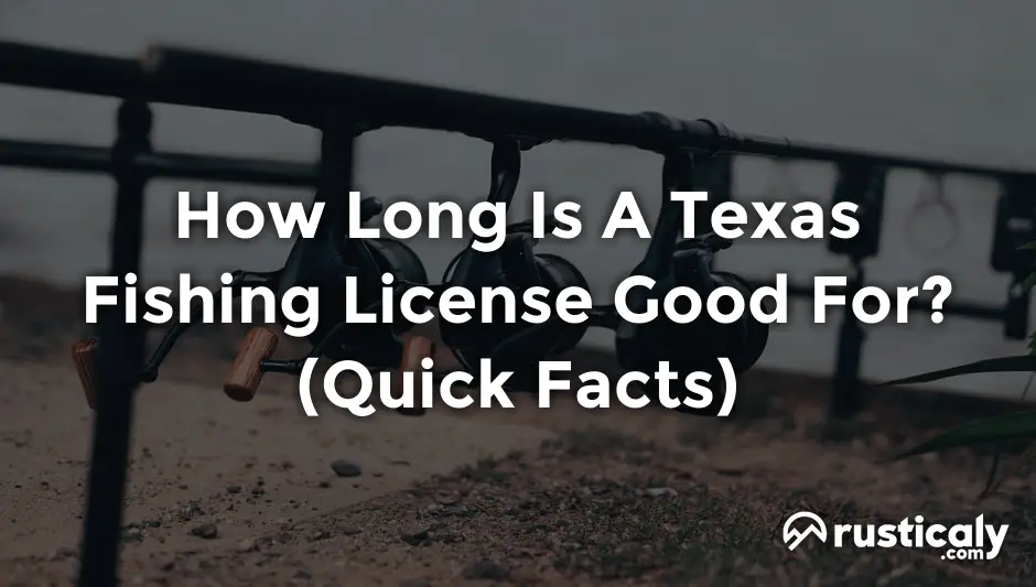 How Long Is A Texas Fishing License Good For? (1-minute Read)