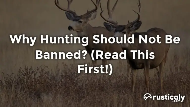 Why Hunting Should Not Be Banned? (Easy & Clear Answer)