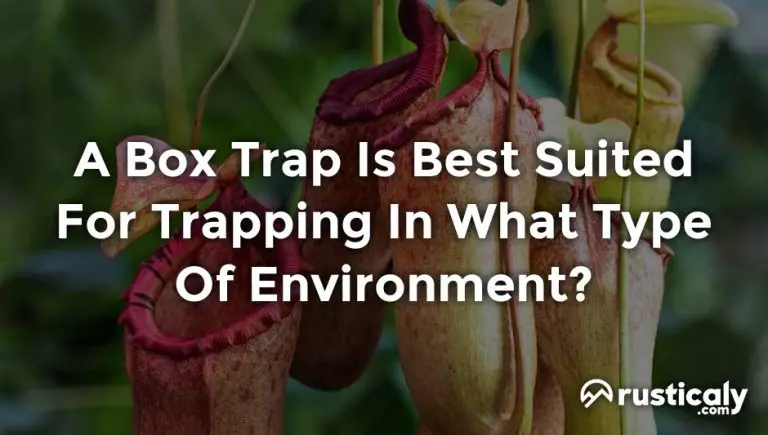 a box trap is best suited for trapping in what type of environment?