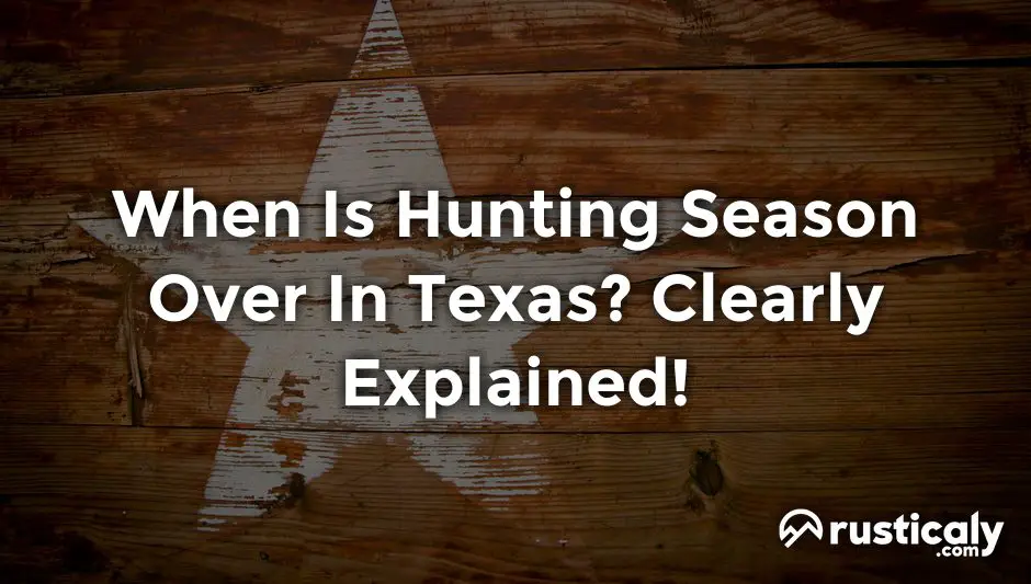 When Is Hunting Season Over In Texas? Clearly Explained!