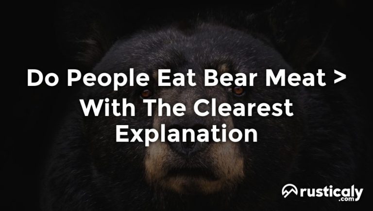 do people eat bear meat