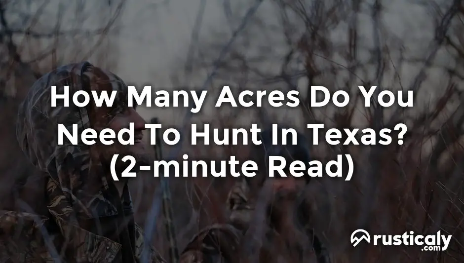 How Many Acres Do You Need To Hunt In Texas? (Quick Read!)