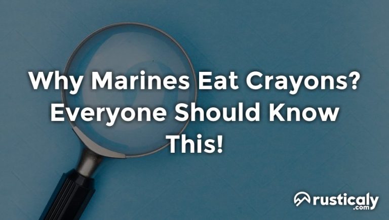 why-marines-eat-crayons-everything-you-need-to-know