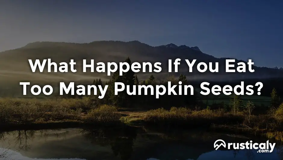 what happens if you eat too many pumpkin seeds
