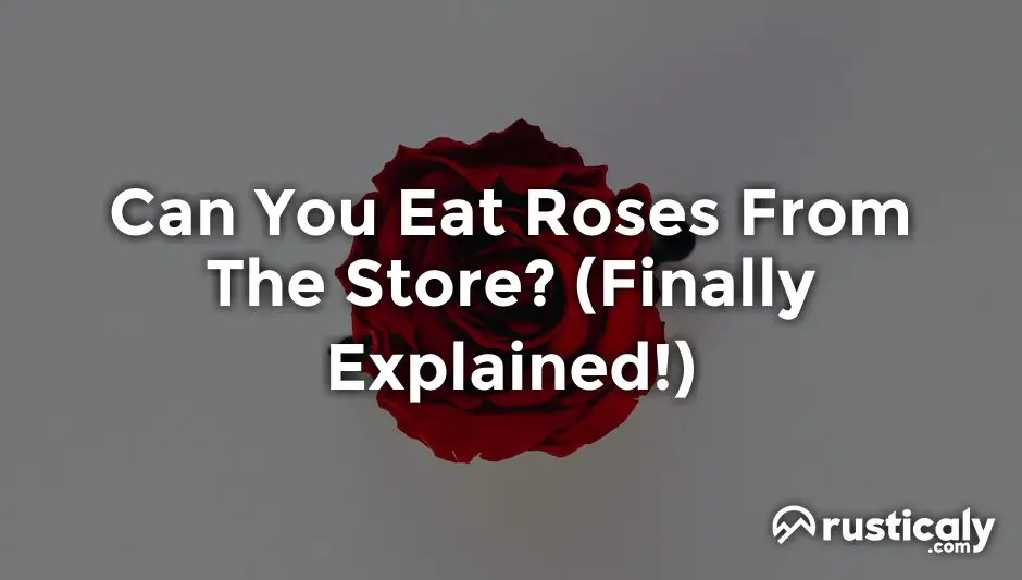 can you eat roses from the store